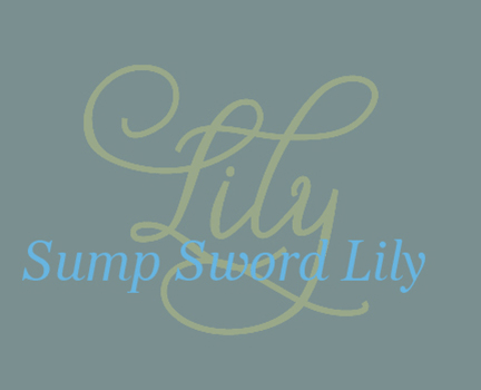 Sump Sword Lily